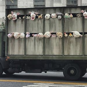 Foto Banksy Ocupa New York