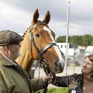 Foto Dark Horse: The Incredible True Story Of Dream Alliance