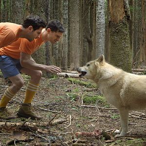 Foto Buddymoon - Uma Aventura entre Amigos