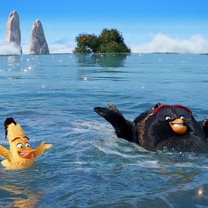 Foto Angry Birds - O Filme