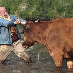 Foto A Incrível Jornada de Jacqueline