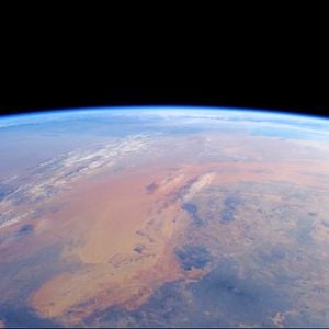 Foto Cowspiracy - O Segredo da Sustentabilidade