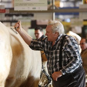 Foto Saint Amour - Na Rota do Vinho
