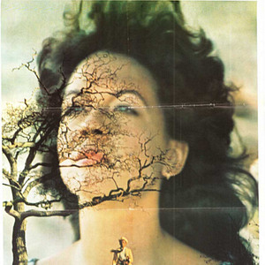 Foto Tigipió - Uma Questão de Honra