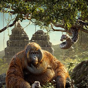 Foto Mogli - O Menino Lobo