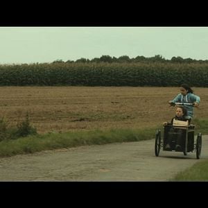 Foto Os Pássaros Migratórios