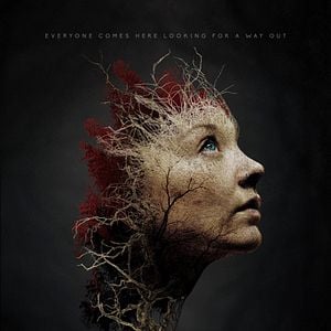 Foto Floresta Maldita