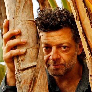 Foto Mogli - Entre Dois Mundos