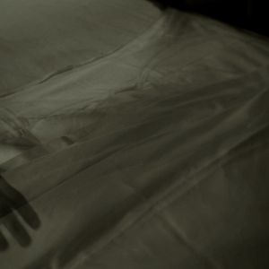 Foto Coração de Cachorro