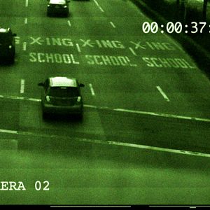 Foto Coração de Cachorro