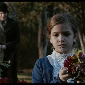 Foto Através da Sombra