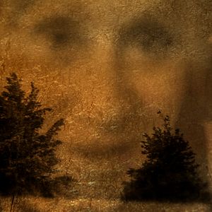 Foto Coração de Cachorro