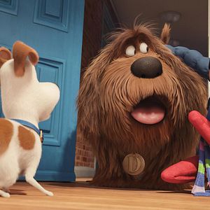 Foto Pets: A Vida Secreta dos Bichos