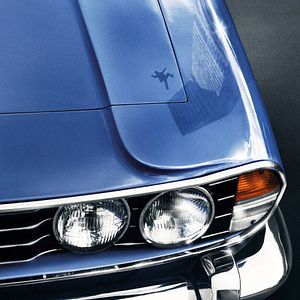 Foto No Topo do Poder