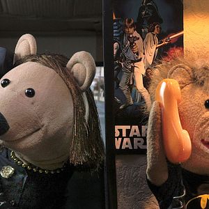 Foto A Socióloga e o Ursinho