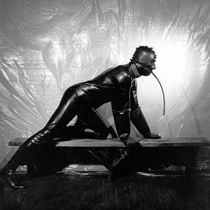 Foto Mapplethorpe: Look At The Pictures