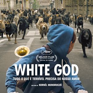 Foto White God