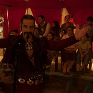 Foto Um cavalo chamado elefante