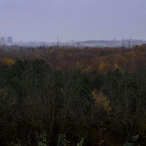 Foto Le Bois dont les rêves sont faits