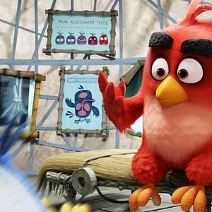 Foto Angry Birds - O Filme