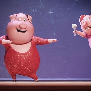 Foto Sing - Quem Canta Seus Males Espanta