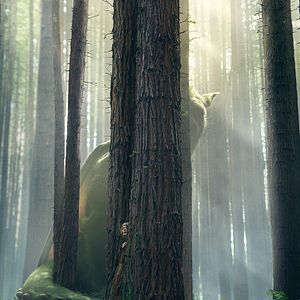 Foto Meu Amigo, O Dragão