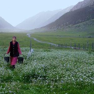 Foto Heavenly Nomadic