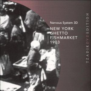 Foto New York Ghetto Fishmarket 1903