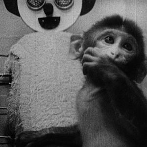 Foto Star Spangled to Death