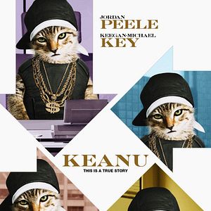 Foto Keanu: Cadê Meu Gato?!