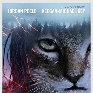 Foto Keanu: Cadê Meu Gato?!