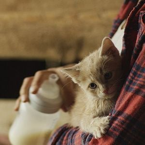 Foto Timber e Mickey - Amigos Especiais