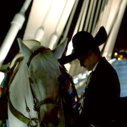 Foto El Charro de Toluquilla
