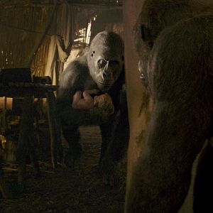 Foto A Lenda de Tarzan