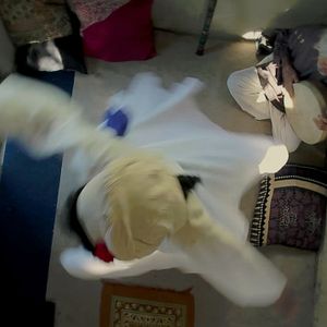 Foto Madres de los dioses