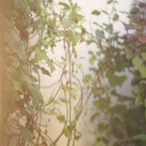 Foto Os Olhos da América