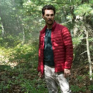 Foto O Mar de Árvores