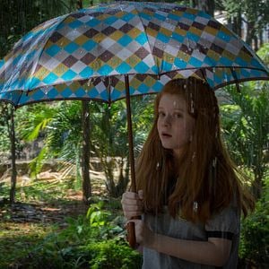 Foto O Escaravelho do Diabo