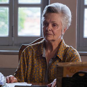 Foto O Escaravelho do Diabo