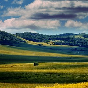 Foto Competição Em Shangai