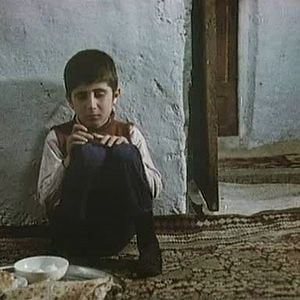 Foto Onde Fica a Casa do Meu Amigo?