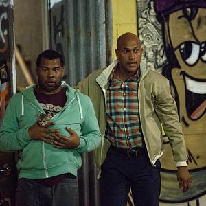 Foto Keanu: Cadê Meu Gato?!