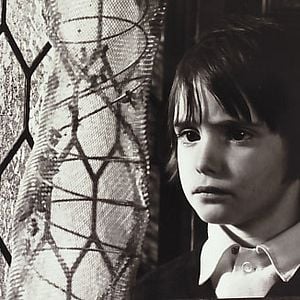 Foto O Espírito da Colmeia