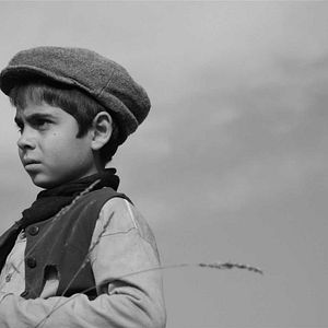 Foto The Family Whistle