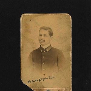 Foto The Family Whistle