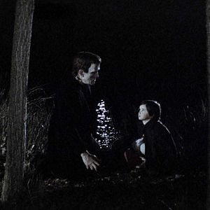 Foto O Espírito da Colmeia