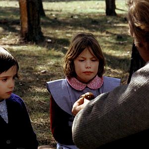 Foto O Espírito da Colmeia