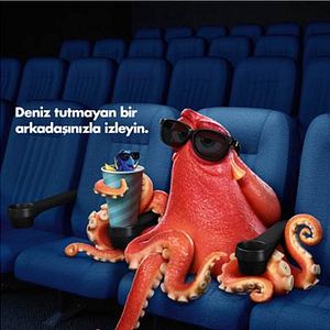 Foto Procurando Dory