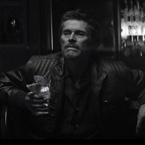 Foto Cães Selvagens