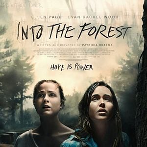 Foto Into the Forest